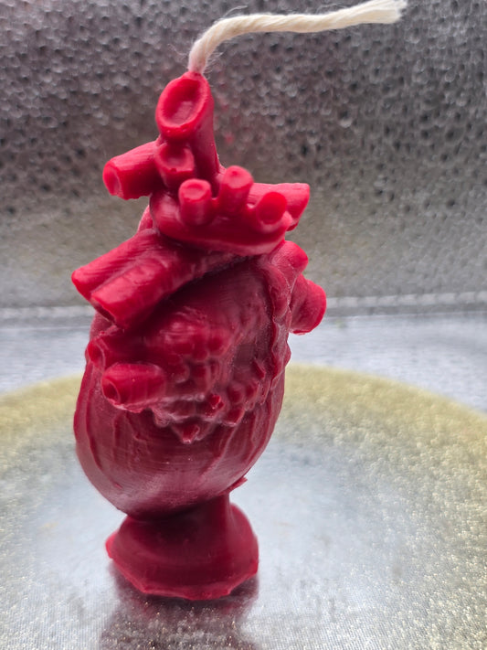 Anatomical Heart Candle