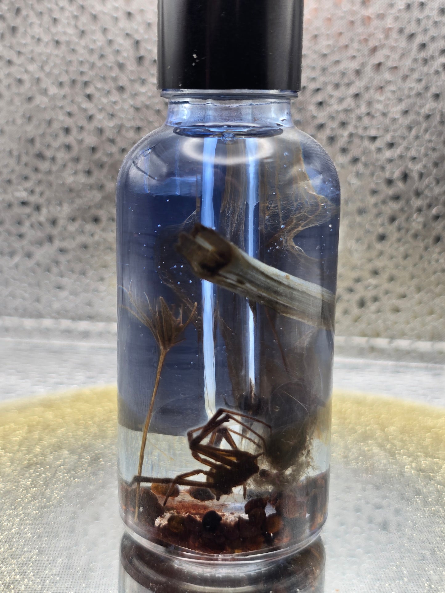 Black widow ritual oil