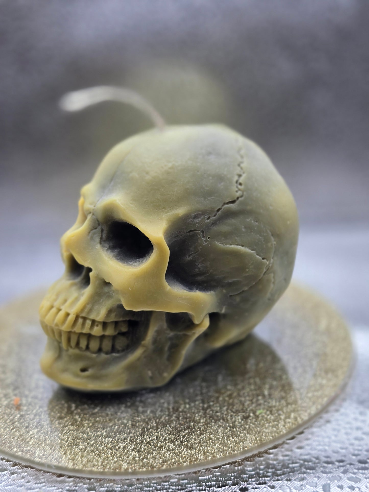 Skull Candle