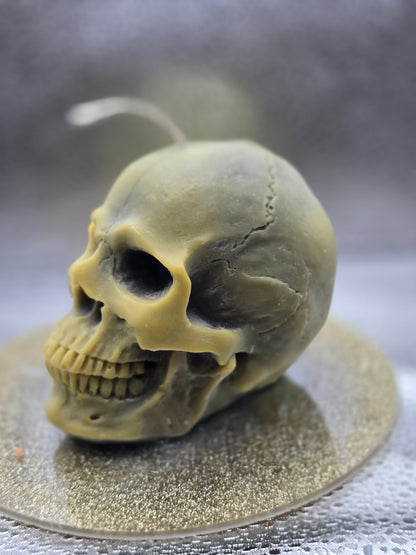 Skull Candle