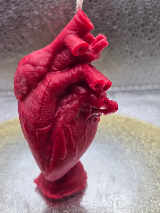 Anatomical Heart Candle