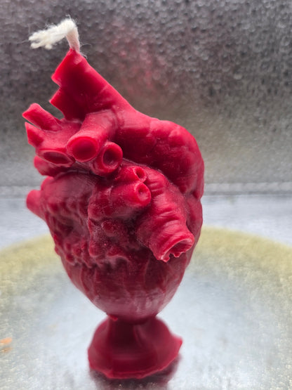 Anatomical Heart Candle
