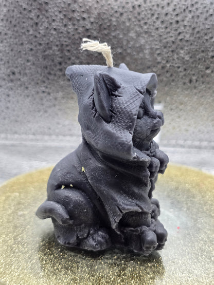 Occult Kitty